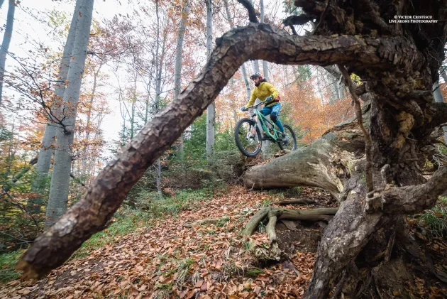 Bike-park-ul din Postăvarul va fi amenajat cu susţinerea unor specialişti din SUA