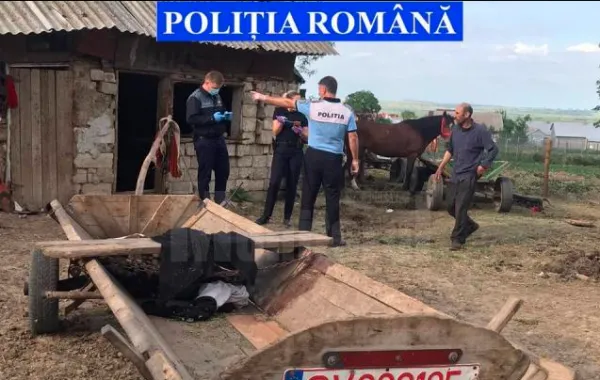 Poliţia animalelor, activată şi la Braşov: când îţi poate intra poliţistul în curte, fără mandat?