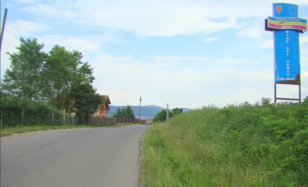 Cu drujba prin stejarii din Ungra