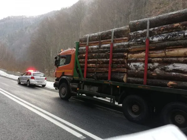 „Hackerii” de lemne atacă aplicaţia SUMAL