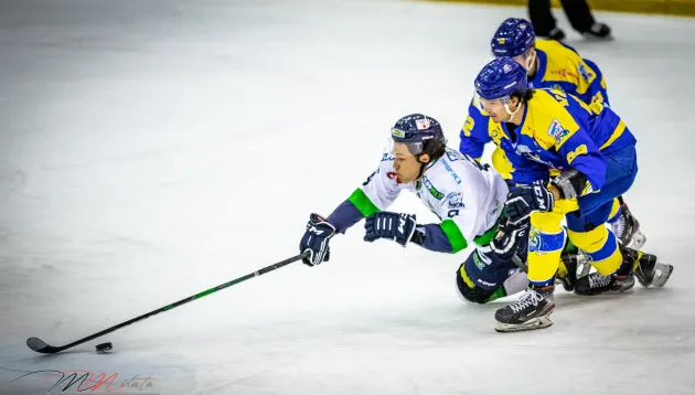 "Wolves", două victorii pentru consolidarea locului secund în Erste Liga