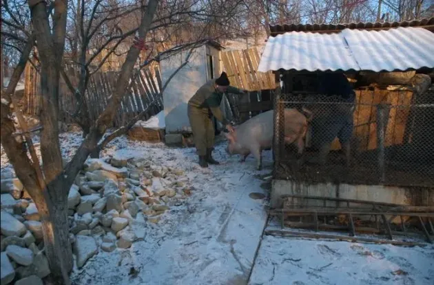 Oros: Ordinul „5 porci” nu e o noutate