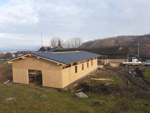 Animalele aflate în pericol şi cele lăsate fără supraveghere pe drumurile publice pot fi plasate în adăpost pentru 45 de zile