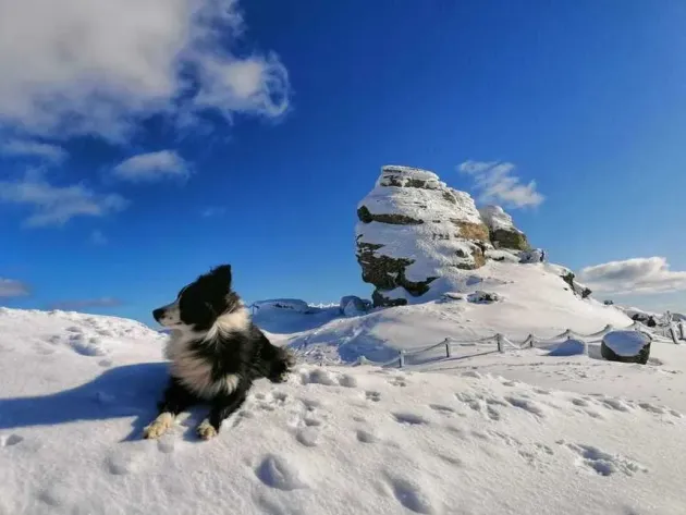 Risc de avalanşă în Bucegi şi Făgăraş