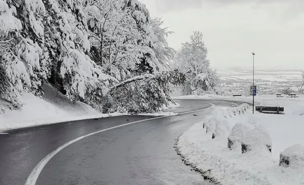 Noapte grea: Pompierii brașoveni au avut zece intervenții, în județ, pentru degajarea arborilor căzuți pe șosele