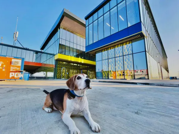 100 milioane de lei, „creierul” Aeroportului