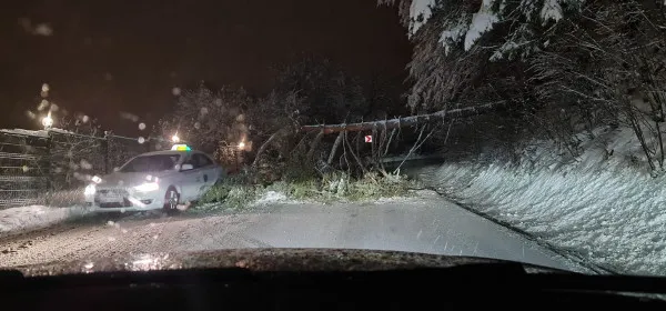 C-așa-i legea pe la noi: Copacul căzut pe drum, nu se ia, se mută lângă