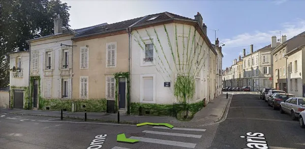 Cum înverzeşti un oraş de beton. Proiectul inedit al unui braşovean din Franţa pentru oraşul în care s-a stabilit acum 20 de ani