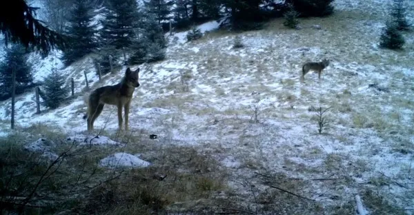 Imagini rare, din Piatra Craiului