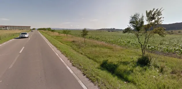 Păduri în miniatură pe marginile drumurilor judeţene? Pe minim un metru, „în etaje”