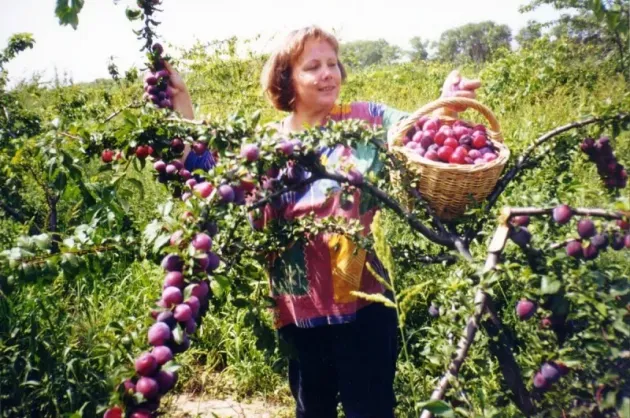 68 de femei din satele Braşovului au obţinut bani europeni prin Programul Naţional de Dezvoltare Rurală