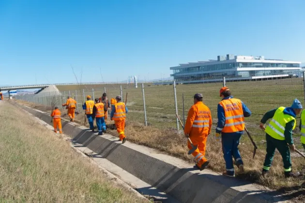 Planul de plantări al Primăriei pentru această primăvară: 1.500 de copaci în 74 de zone ale Braşovului