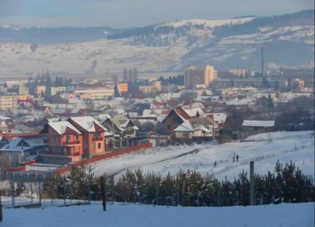 Cătuşe, pe loc: A lovit maşina, gardul şi... a prins viteză. Era şi beat, şi fără permis
