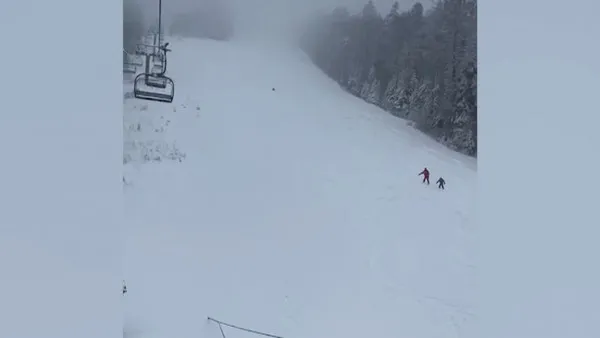 Un urs de împuşcat. Din nou panică la Predeal: tată şi copil fugăriţi de urs, sub ochii mamei, aflate în telescaun