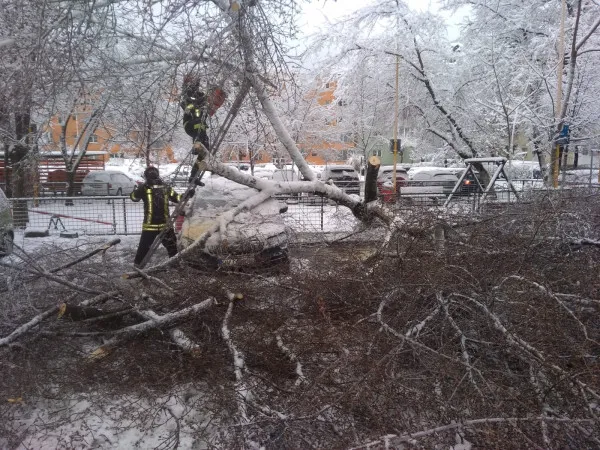 Cea mai puternică ninsoare în Brașov din ultimii ani: cinci arbori doborâți și 260 de tone de material antiderapant pe străzile orașului