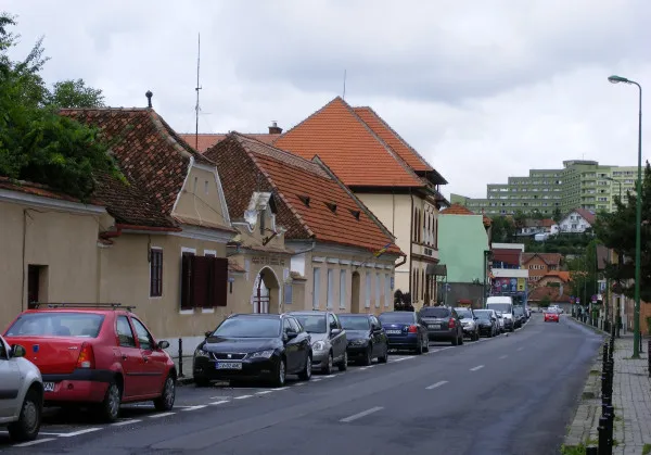 98 de ani, a ars de vie, singură în casă