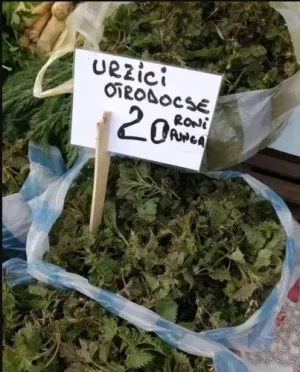„Nu poţi scăpa de cancer devenind vegetarian şi nici de infarct dacă elimini grăsimile din dietă”