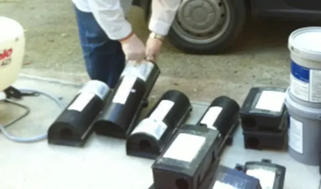 A început „campania de primăvară” pentru combaterea rozătoarelor din municipiul Braşov