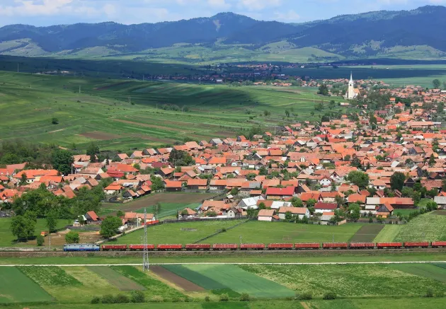 CFR Marfă anunţă concedieri: 3 din 10 oameni