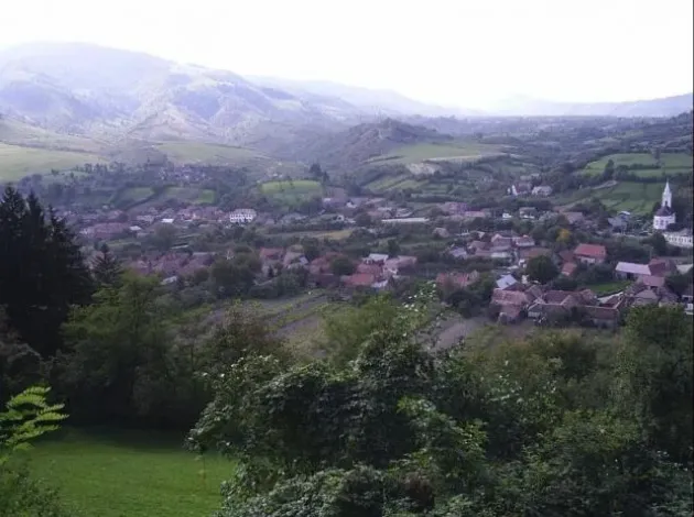 Şinca: I-au confiscat doi metri steri de carpen