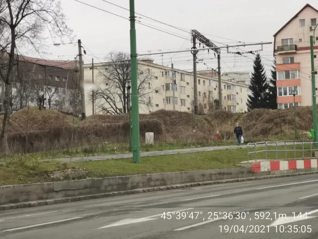 De voie, de nevoie: Curăţenie pe calea ferată care traversează Triajul şi Tractorul