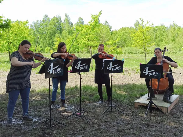 Filarmonica Braşov mai sparge o dată tiparul: După scena în narcise, cu orchestra pe Strada Sforii
