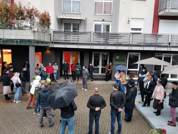 De ce a fost anul păpădiei şi nu al lalelelor la Braşov