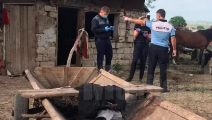 Recea: A pus pe foc... cinci pui de câine!