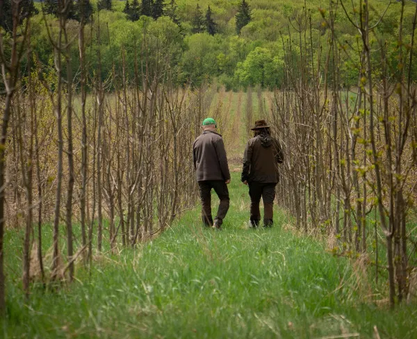 Comuna Dumbrăviţa are 63 de hectare de pădure tânără