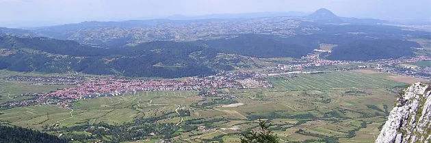 Scandalagiu şi mincinos, 1 an la puşcărie