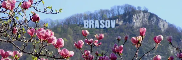 De duminică, 9 mai, aproape tot judeţul a ieşit de sub restricţii, rămân doar Fundata, Cincu, Homorod, Bran, Zărneşti, Poiana Mărului, Hărman, Hălchiu, Ticuşu