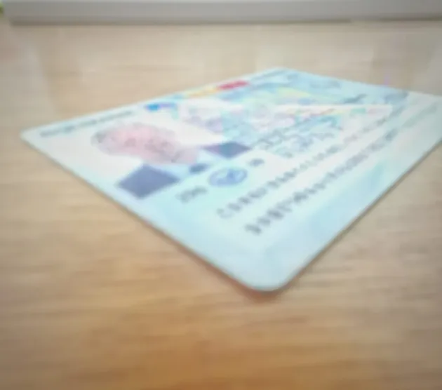 Ziua celor făr` de permis