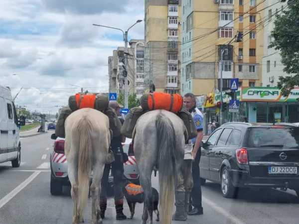 Credeau că văd Branul, dar au nimerit Craiova. Cu doi cai după ei și un câine