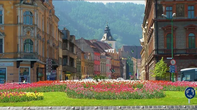De florile Braşovului se ocupă Constanţa
