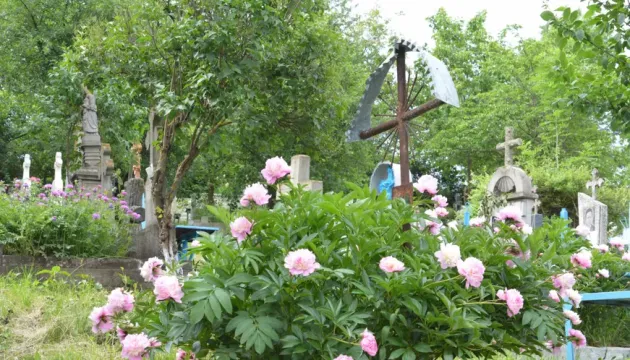 Când fură, fură... 1.200 de bujori furaţi de pe mormintele braşovenilor