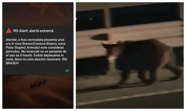 Braşovul, aproape ziua şi alerta „atenţie, urs în zonă”