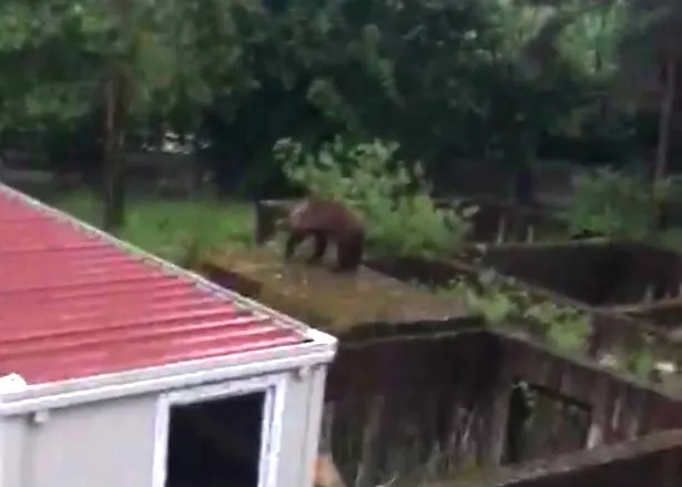 Pacient surpriză la Spitalul Săcele