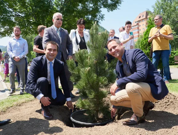 Premieră în materie de „plantare oficială”: Pinul Braşov - Israel plantat cu tot cu ghiveci