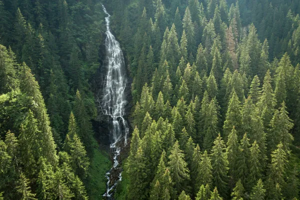Time, SUA: „Yellowstone-ul Europei” îl găsiți la Făgăraș