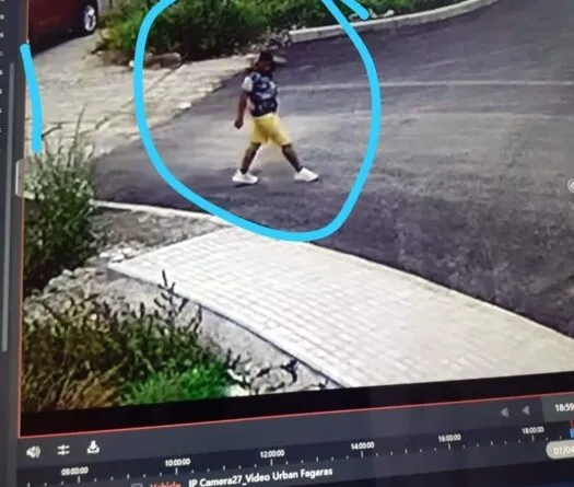 Ce fac braşovenii atunci când cred că nu-i vede nimeni