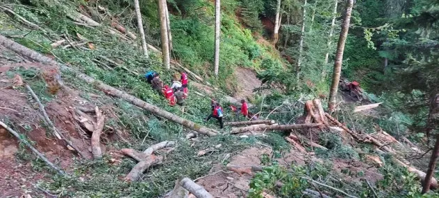 Tragedie în Munţii Făgăraş: Omorât de drujba cu care tăia un arbore