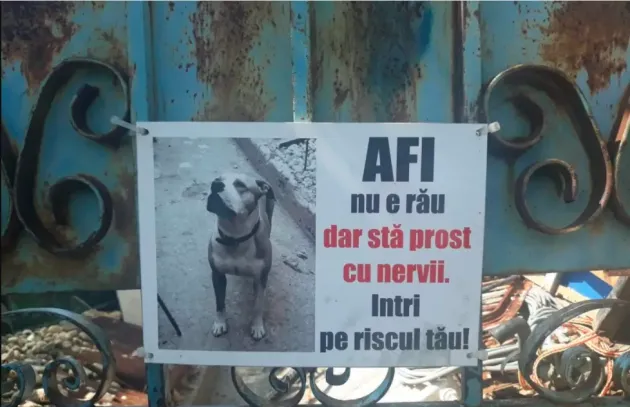 Hărman şi Prejmer: 10 case controlate de poliţie, la 4 au lăsat amendă pentru „câine periculos”
