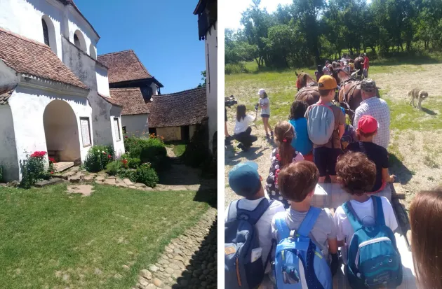 Vacanta de Vara Afară, la 375 lei pe săptămână