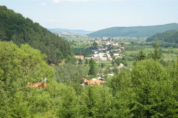 Vama Buzăului: Pe urma şoferilor băuţi