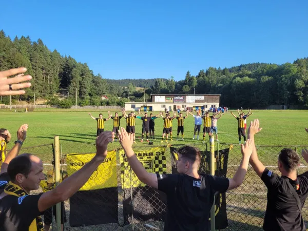 SR a câștigat al treilea amical al verii