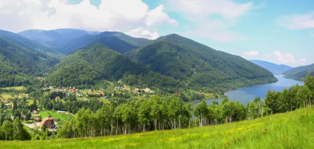 Peste 10.500 de metri cubi de lemn vor fi tăiaţi din pădurile din Poiana Mărului şi Zărneşti