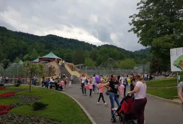 Proiectul de transformare a Zoo Braşov în grădină eco-friendly va fi realizat de o firmă din Cluj