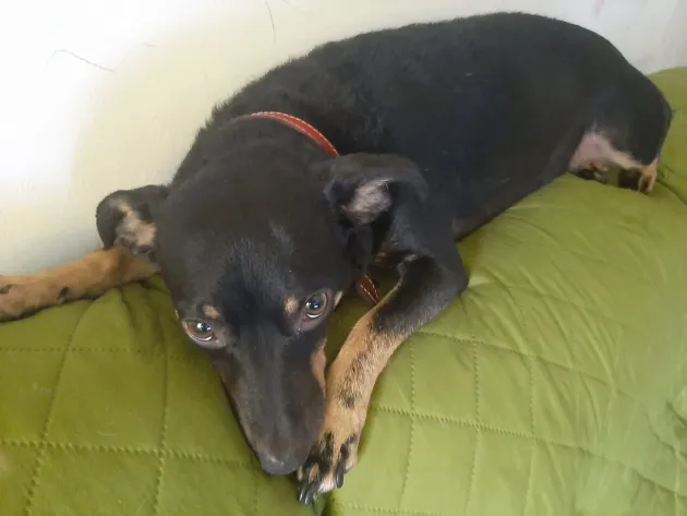 Ieri a fost ziua lui