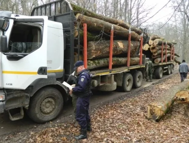 Razie în pădurea Crizbavului, amenzi de 2.300 lei
