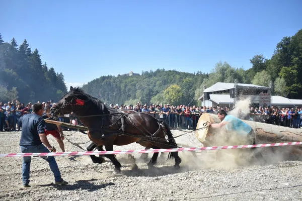 Trei zile de sărbătoare şi recorduri la Festivalul Naţional Ecvestru, de la Râşnov
